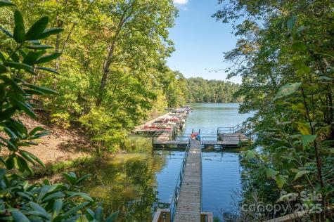 0 Mountain Parkway Mill Spring NC 28756
