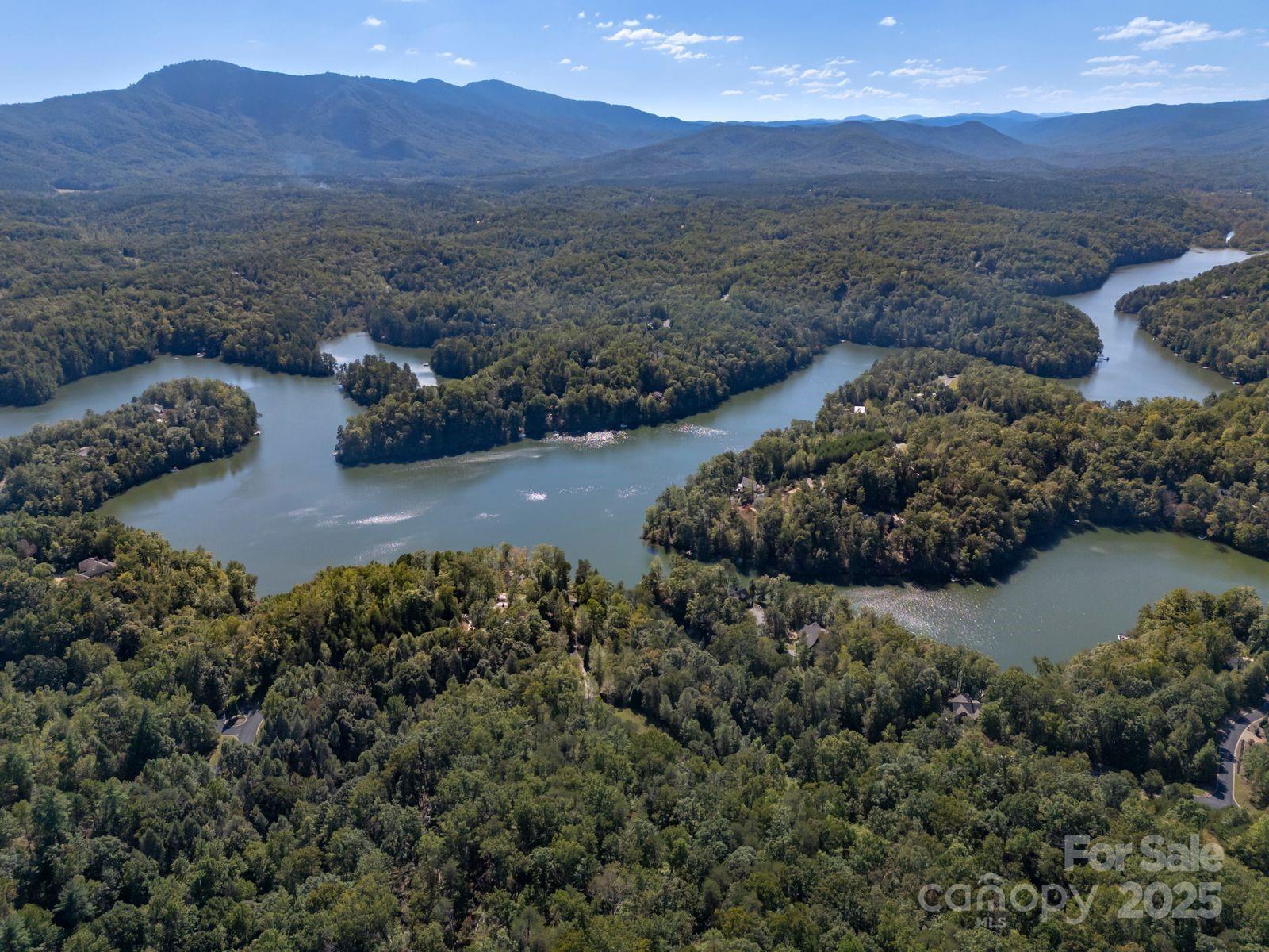 0 Mountain Parkway Mill Spring NC 28756