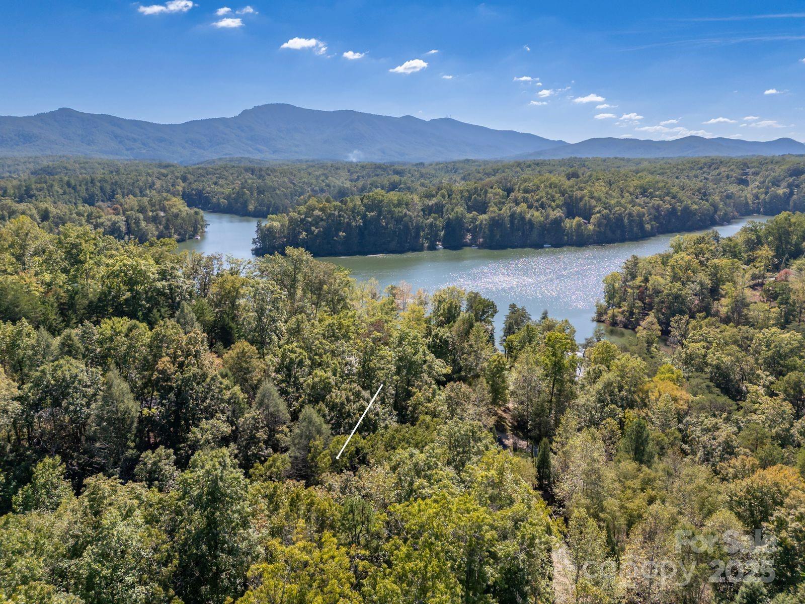 0 Mountain Parkway Mill Spring NC 28756