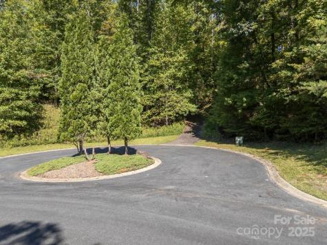 0 Mountain Parkway Mill Spring NC 28756
