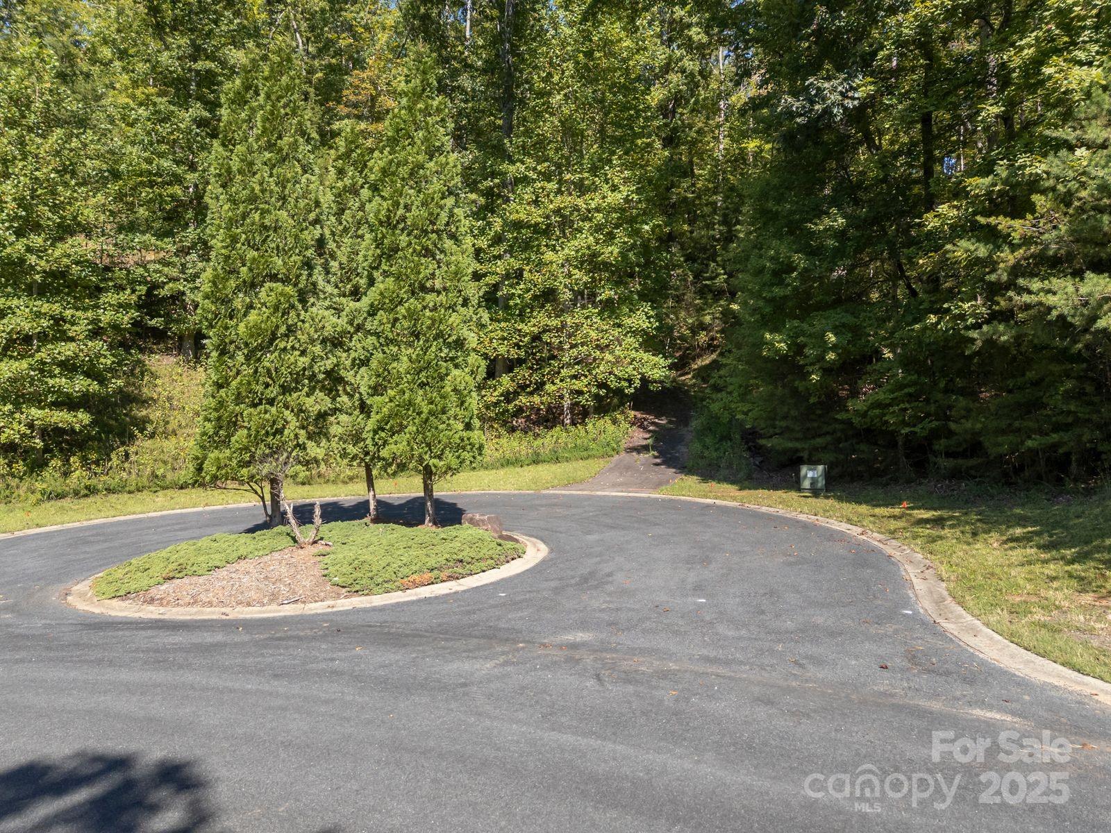 0 Mountain Parkway Mill Spring NC 28756