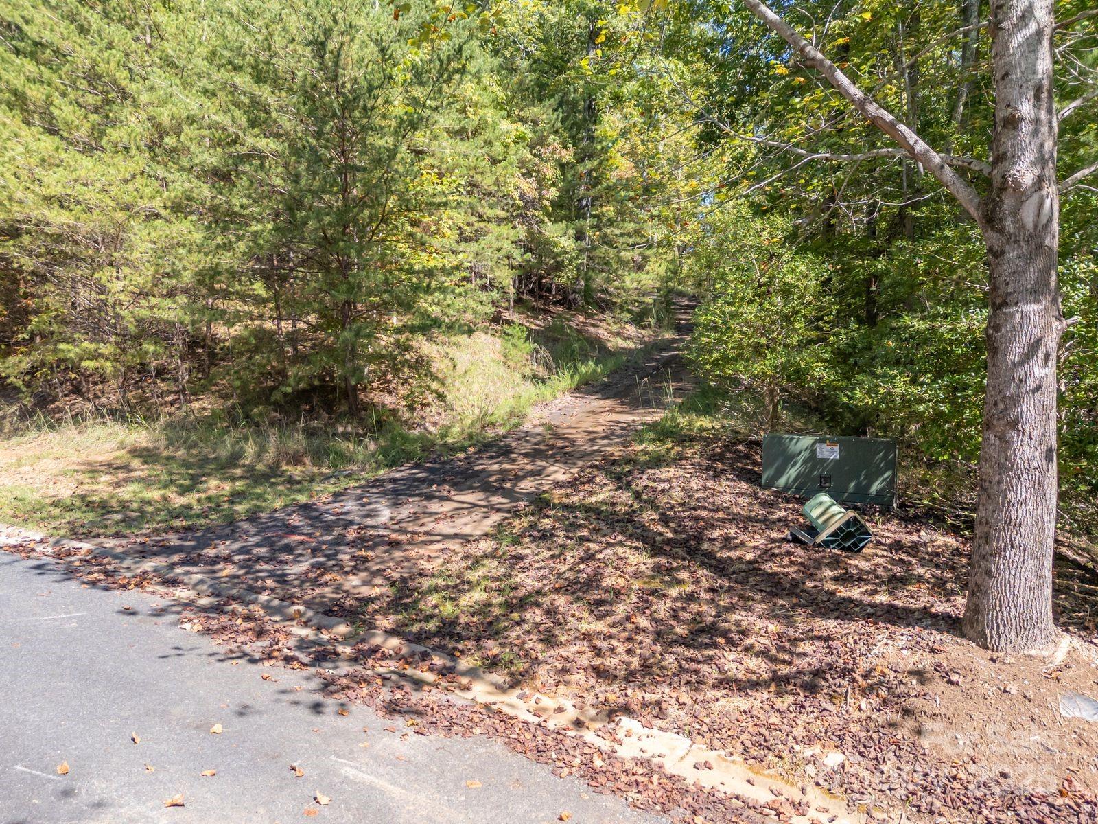0 Mountain Parkway Mill Spring NC 28756