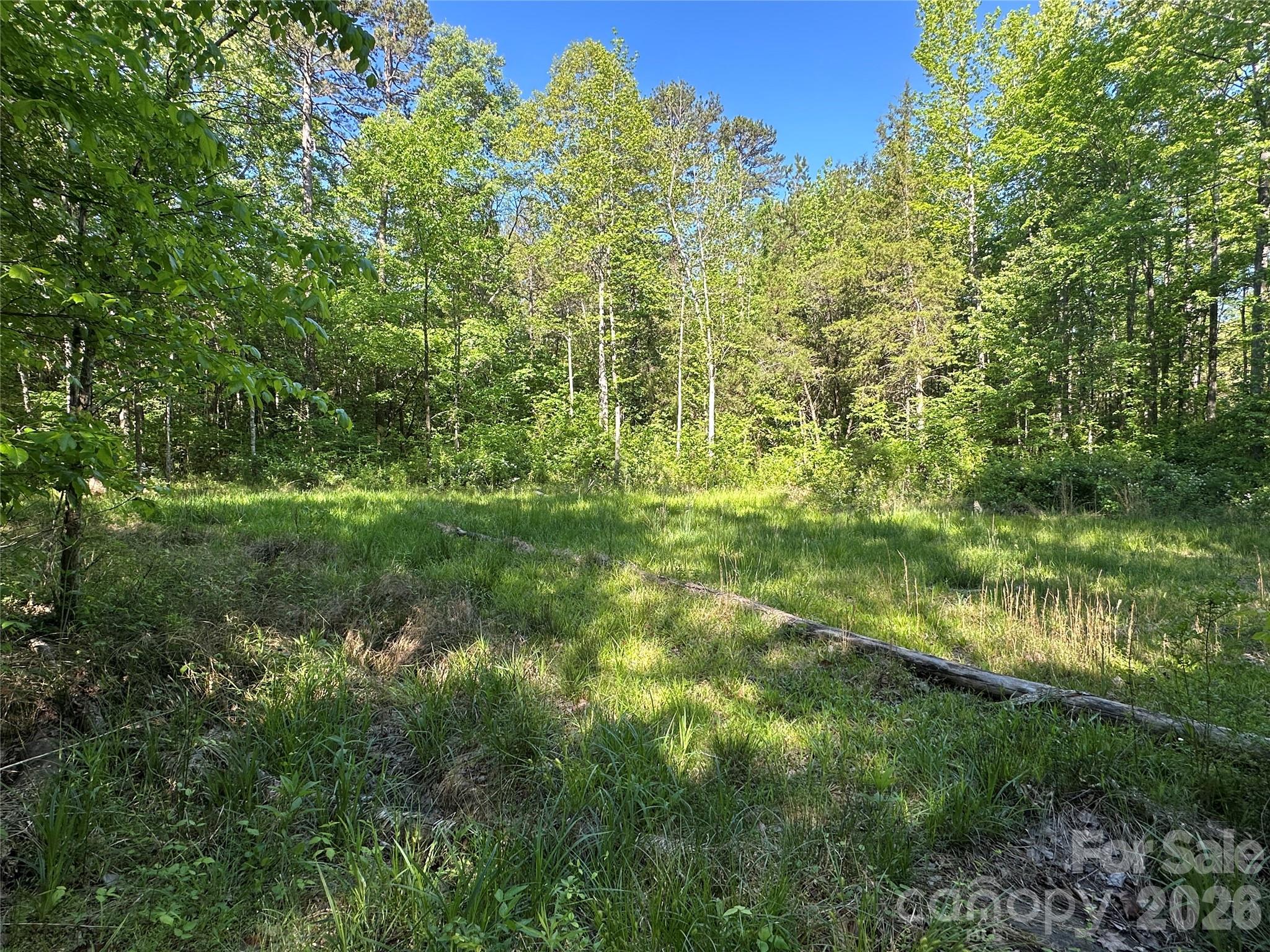 00 Bonkin Lake Road Mocksville NC 27028