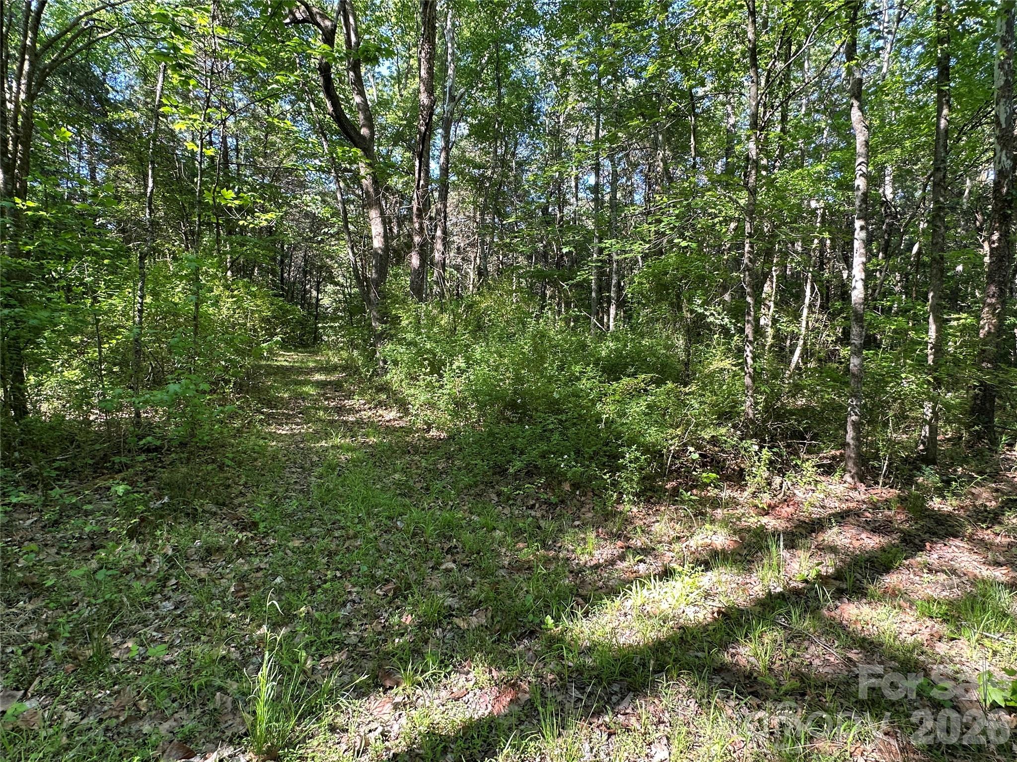 00 Bonkin Lake Road Mocksville NC 27028
