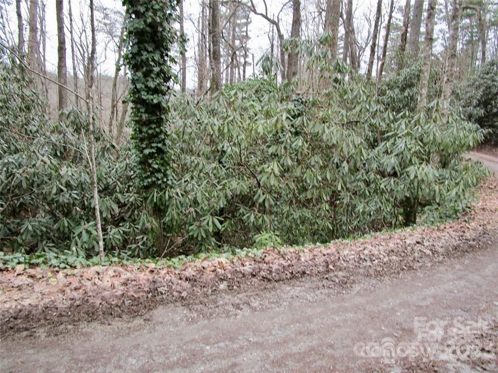 Lot #21 Toxaway Falls Drive Lake Toxaway NC 28747