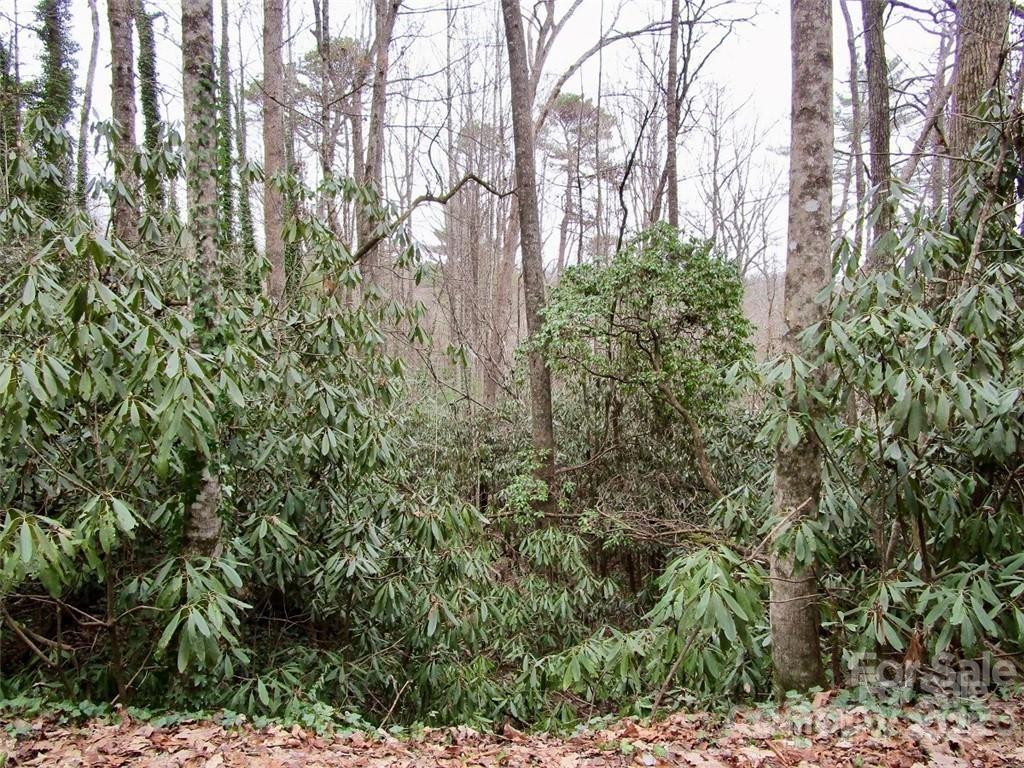 Lot #21 Toxaway Falls Drive Lake Toxaway NC 28747