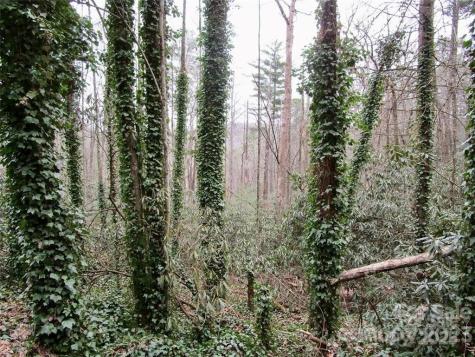 Lot #21 Toxaway Falls Drive Lake Toxaway NC 28747