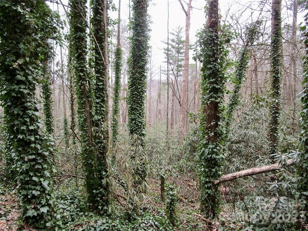 Lot #21 Toxaway Falls Drive Lake Toxaway NC 28747