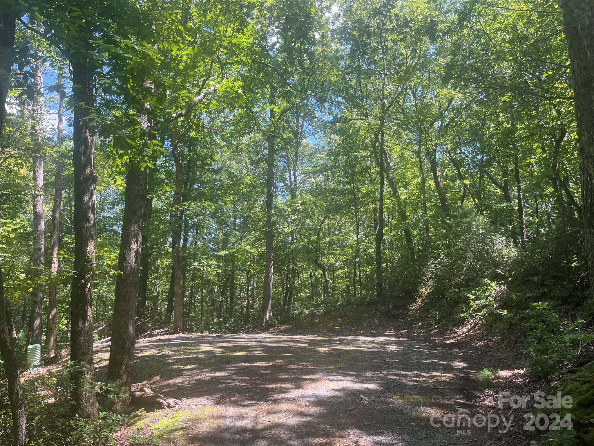 0 Mintwood Court Lake Lure NC 28746