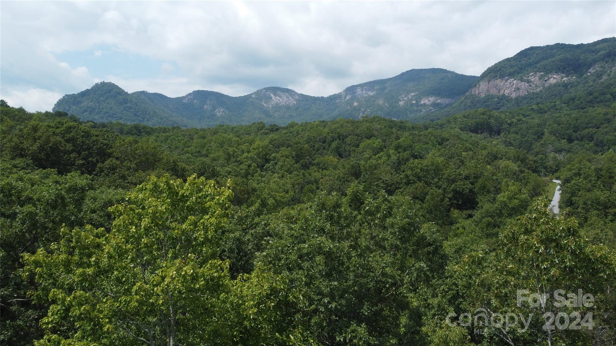 0 Mintwood Court Lake Lure NC 28746