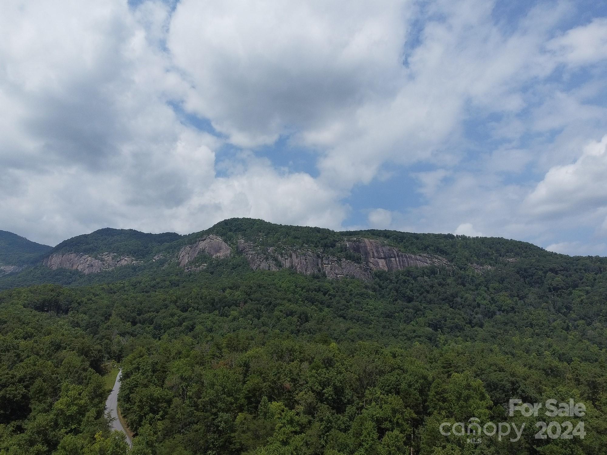0 Mintwood Court Lake Lure NC 28746