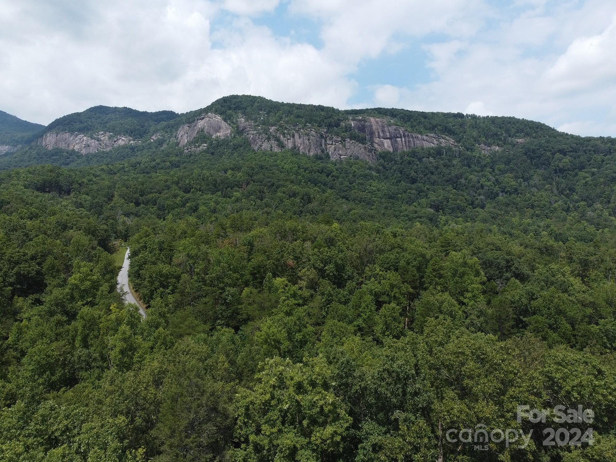 0 Mintwood Court Lake Lure NC 28746