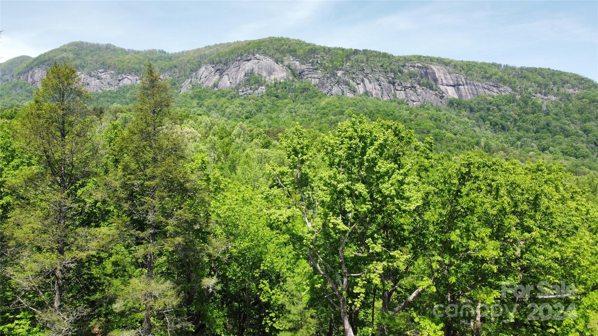 0 Mintwood Court Lake Lure NC 28746