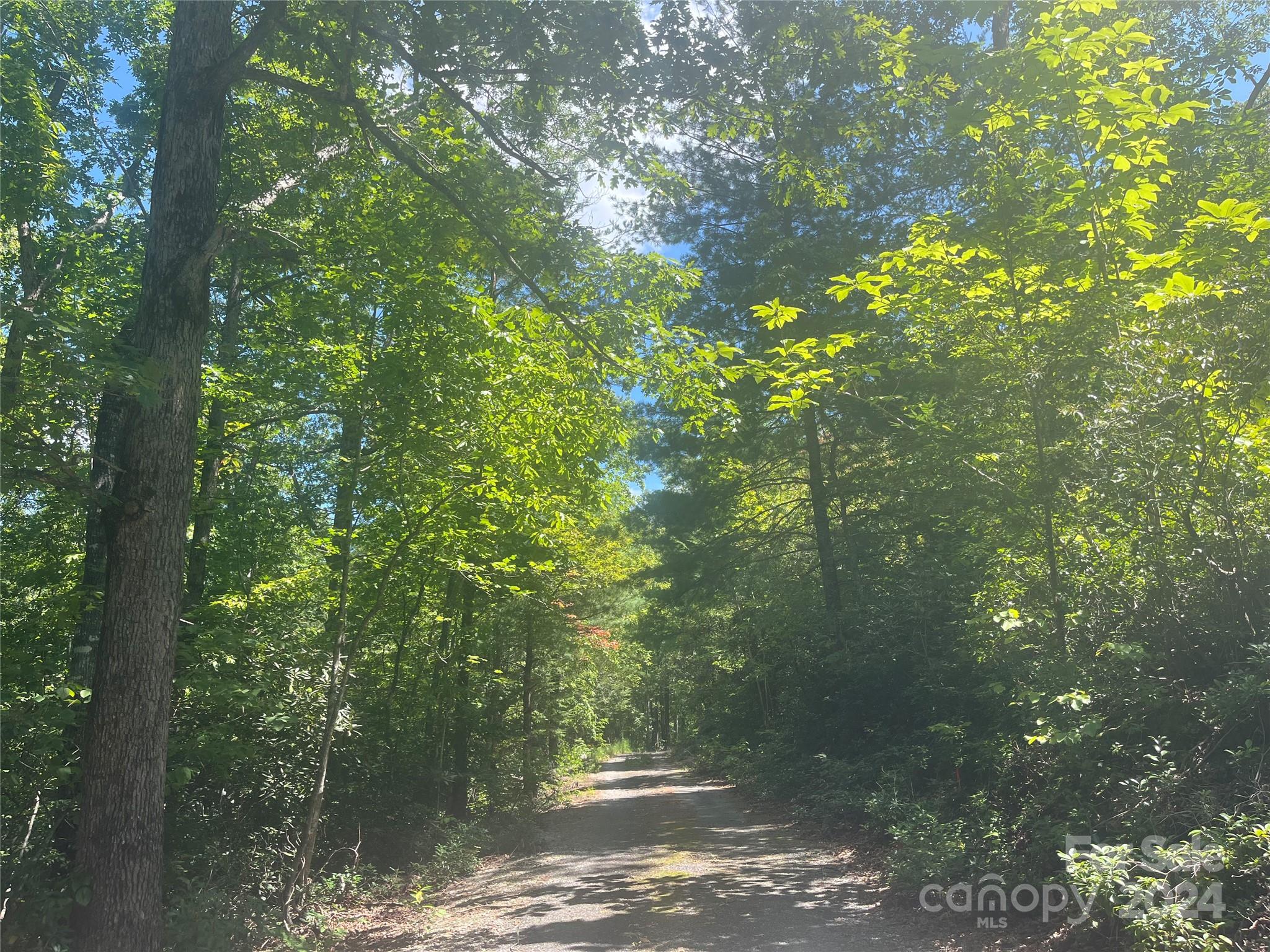 0 Mintwood Court Lake Lure NC 28746
