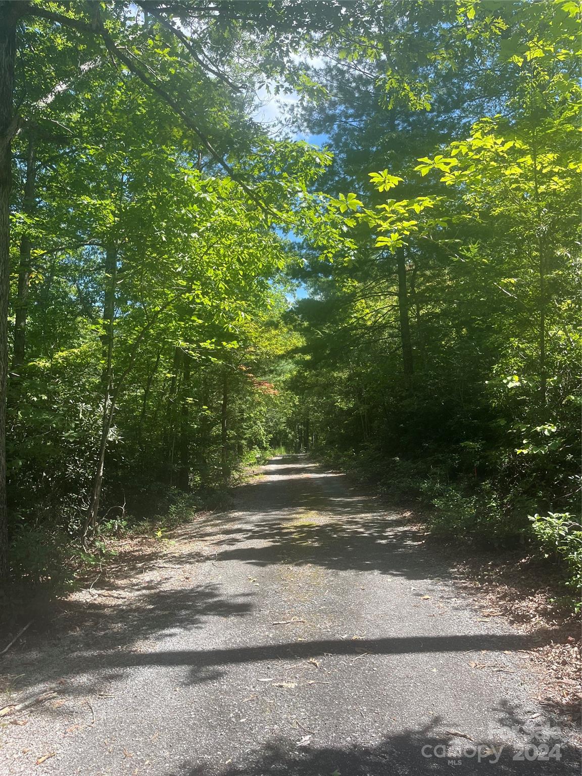 0 Mintwood Court Lake Lure NC 28746