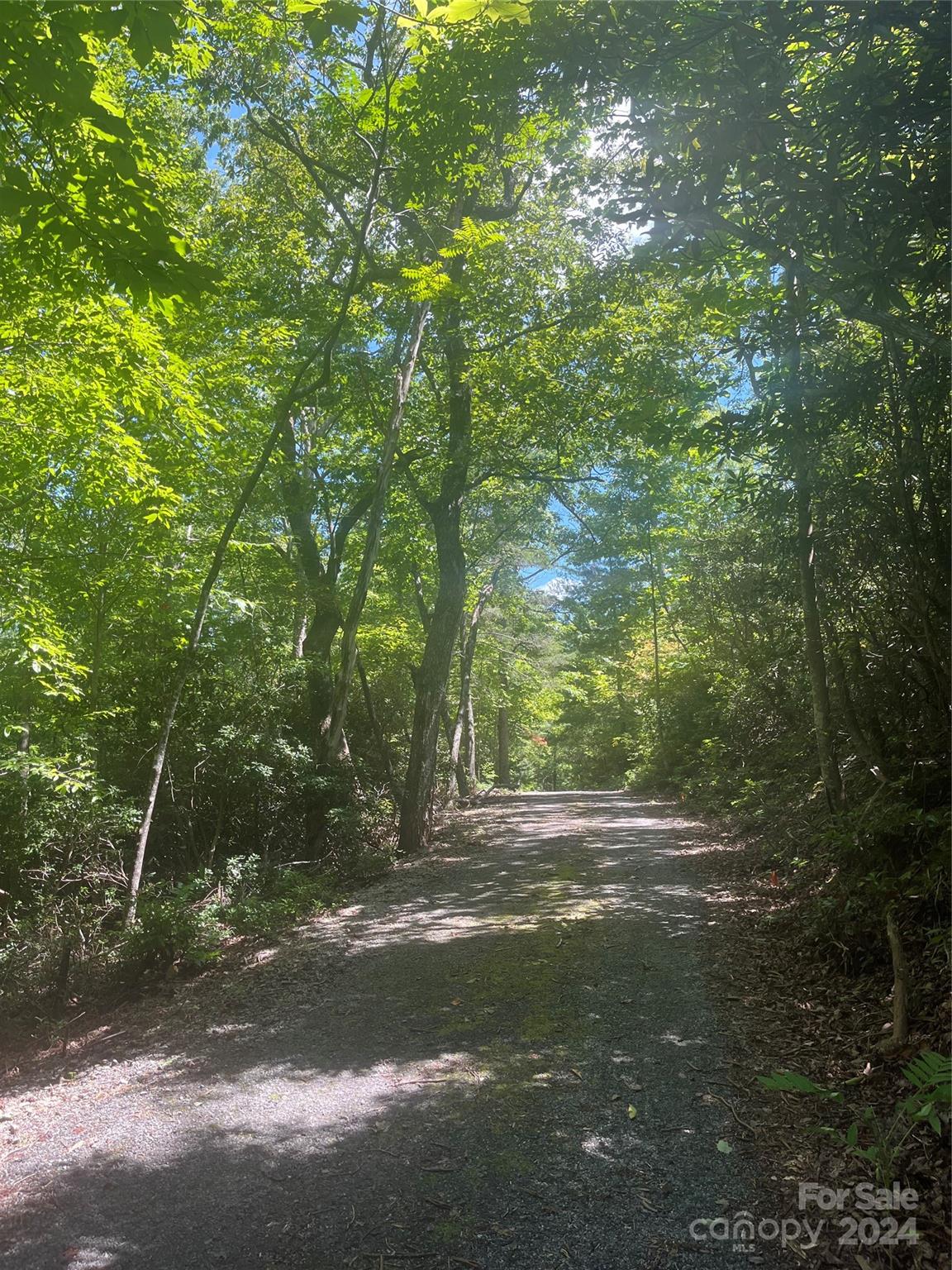 0 Mintwood Court Lake Lure NC 28746
