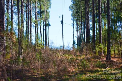 00 Bobby Faucette Road Jonesville SC 29353