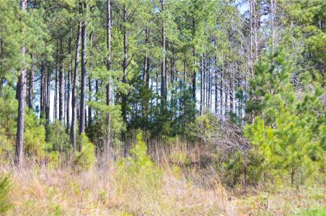 00 Bobby Faucette Road Jonesville SC 29353