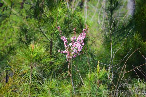 00 Bobby Faucette Road Jonesville SC 29353