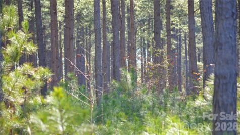 00 Bobby Faucette Road Jonesville SC 29353