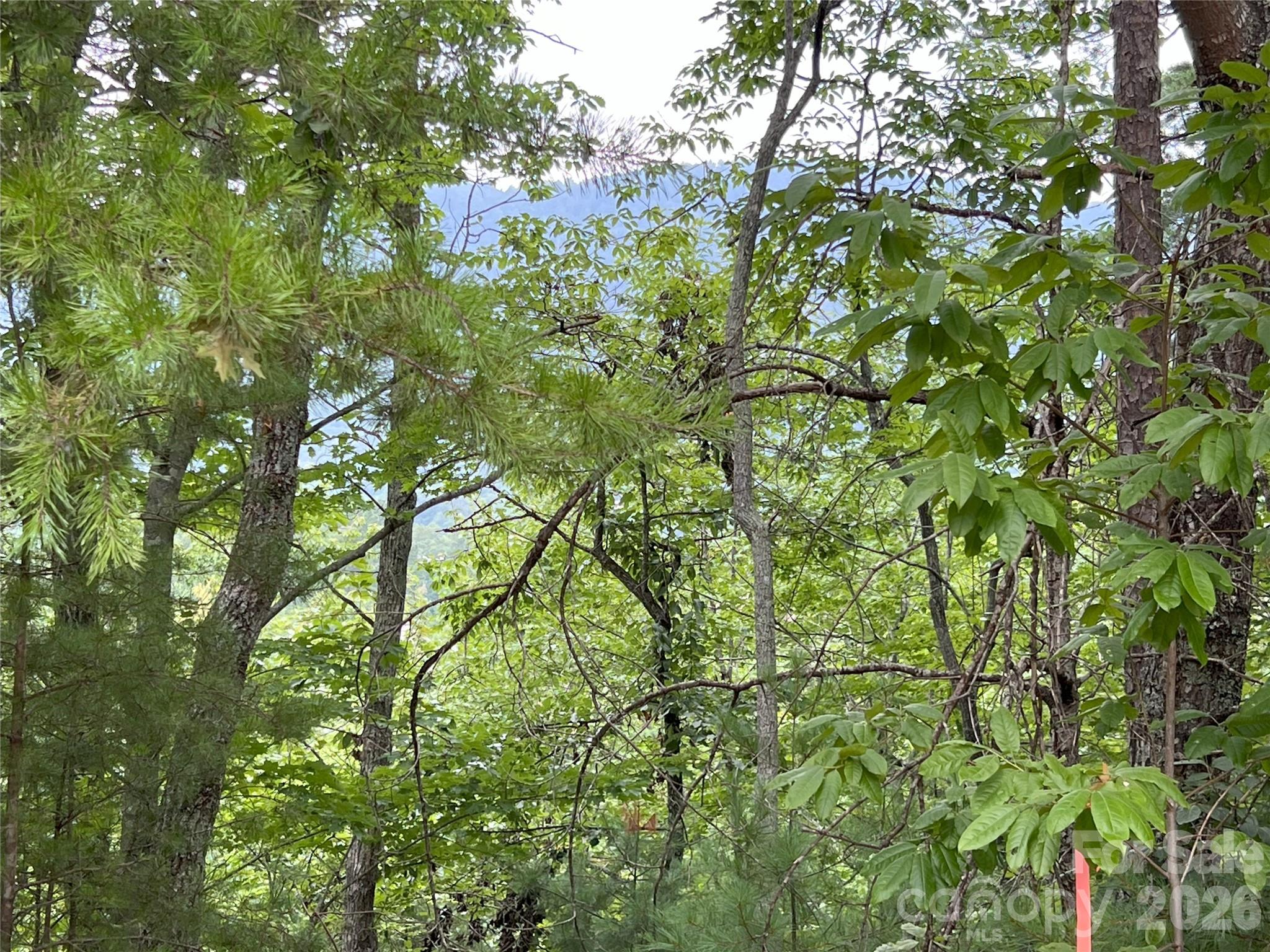 0 Stratford Drive Mill Spring NC 28756