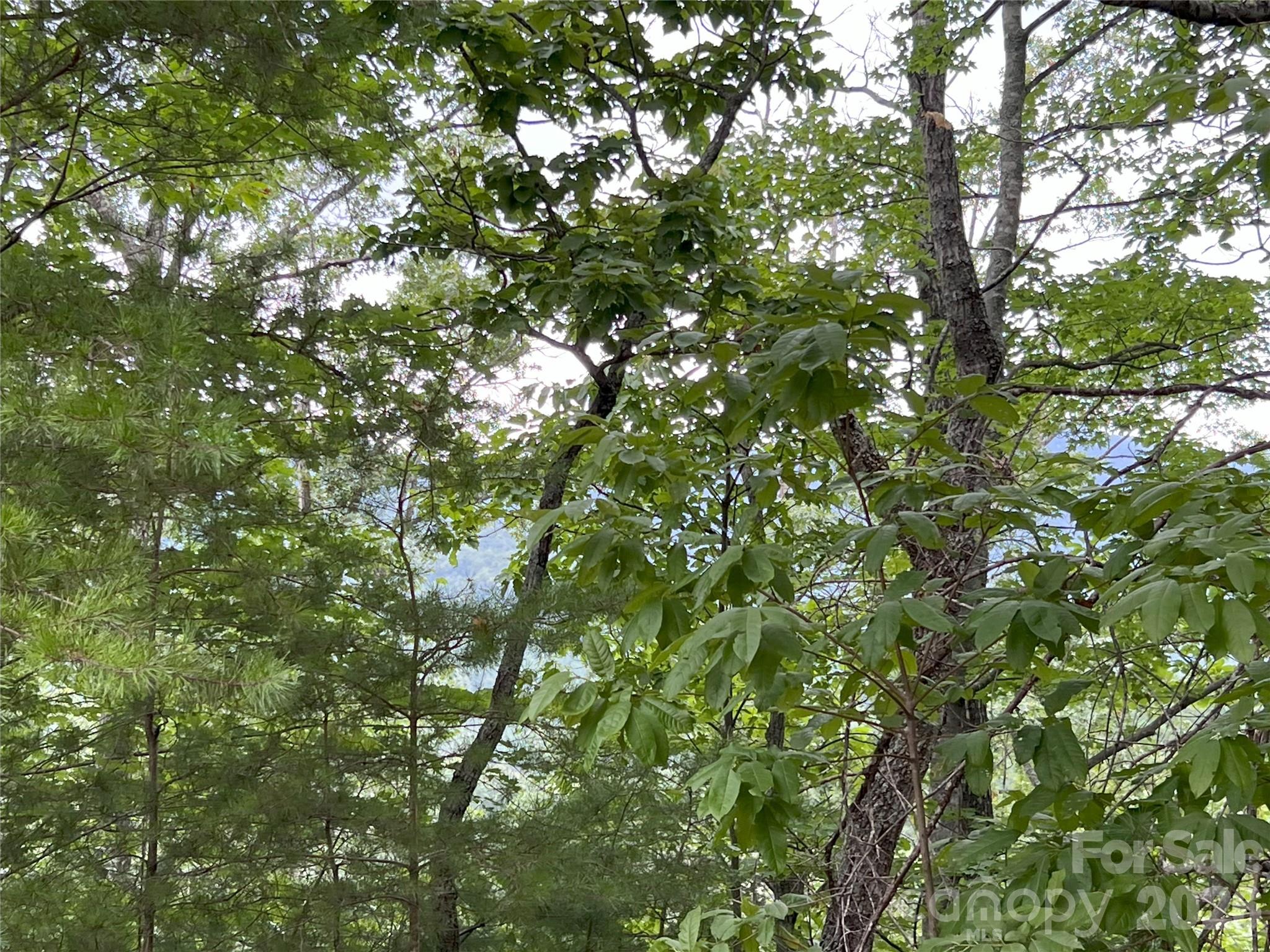 0 Stratford Drive Mill Spring NC 28756
