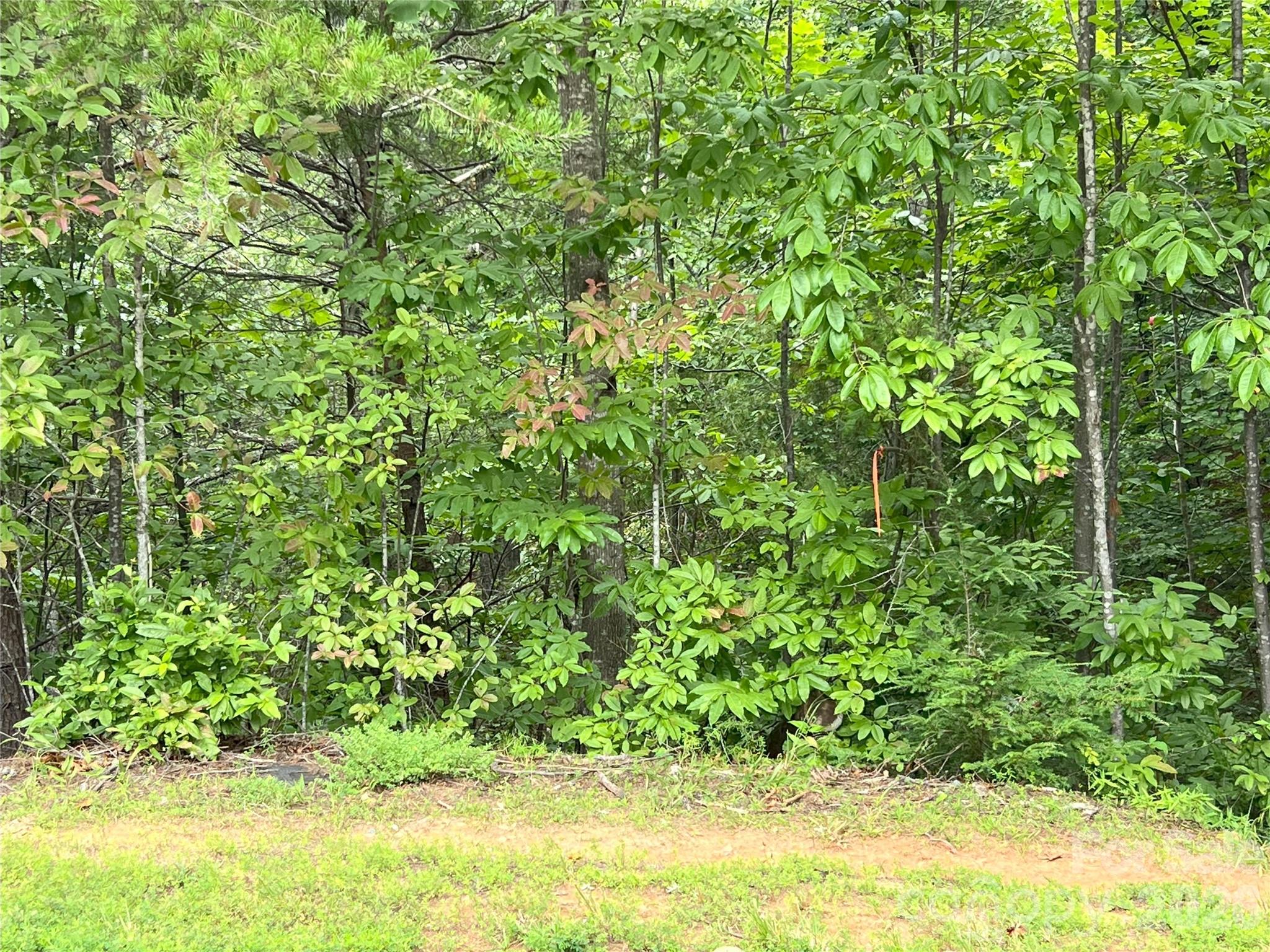 0 Stratford Drive Mill Spring NC 28756