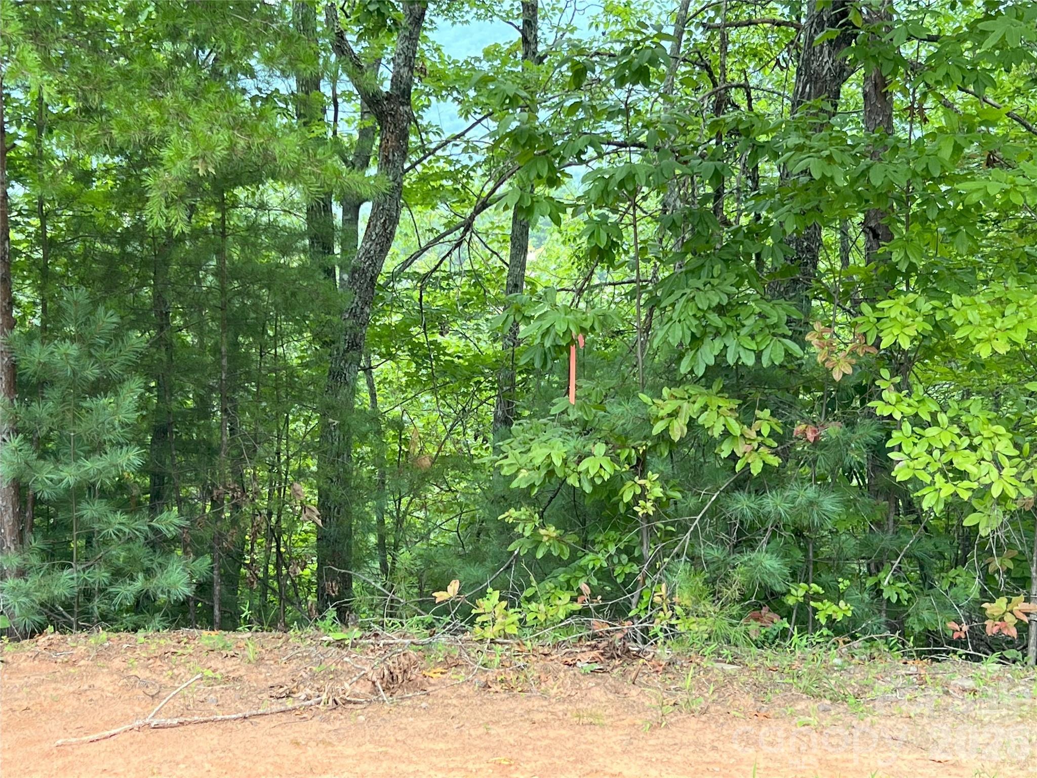 0 Stratford Drive Mill Spring NC 28756