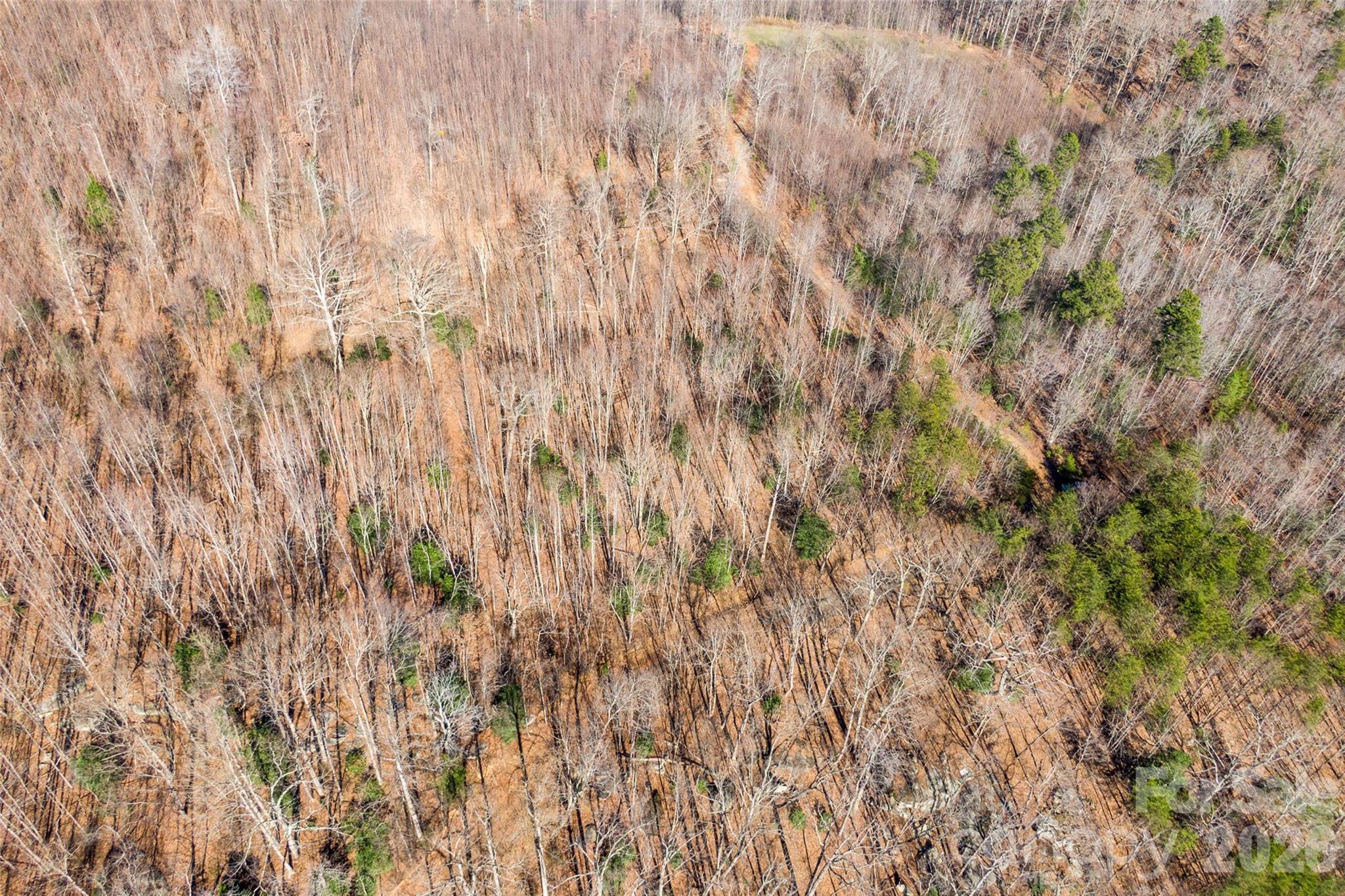 0 Ashe Drive Ellenboro NC 28040