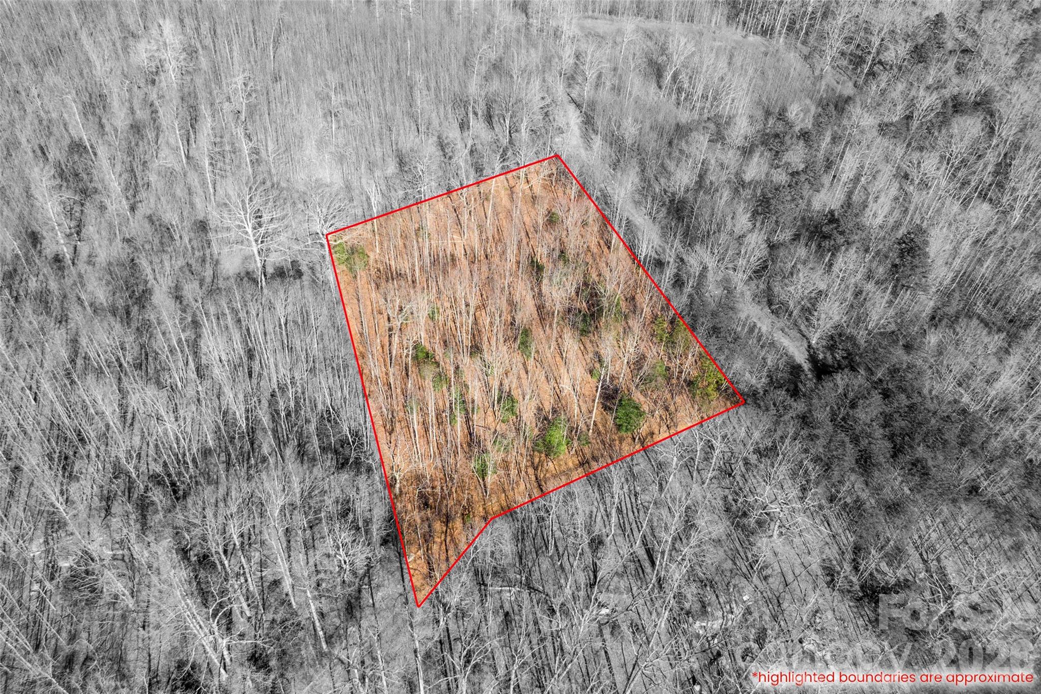 0 Ashe Drive Ellenboro NC 28040