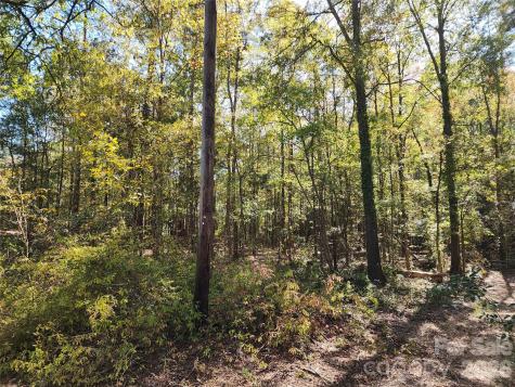 1040 Apollo Lane Lancaster SC 29720