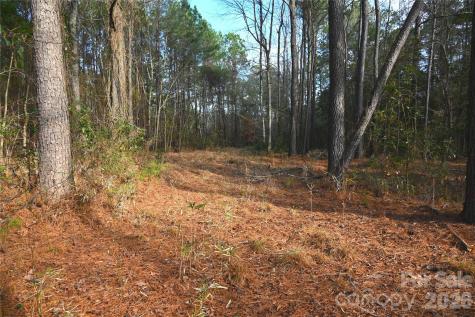 00 Mattocks Road Maysville NC 28555