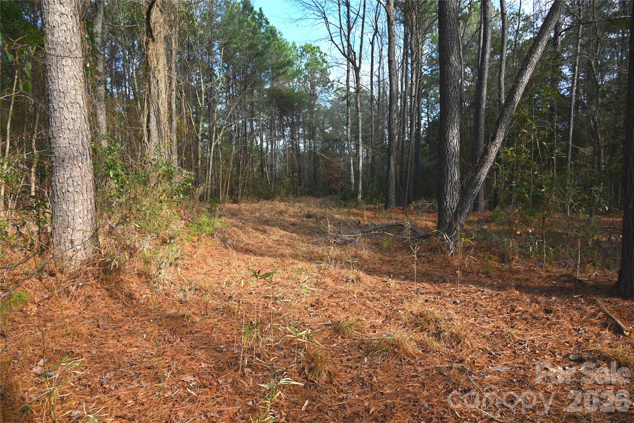 00 Mattocks Road Maysville NC 28555