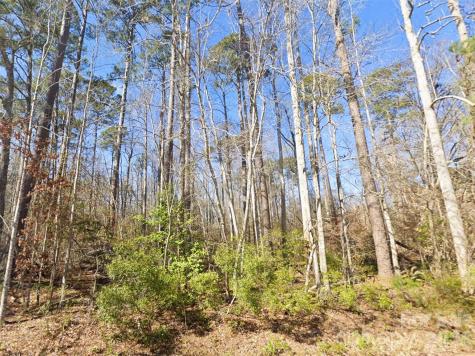 00 Mattocks Road Maysville NC 28555