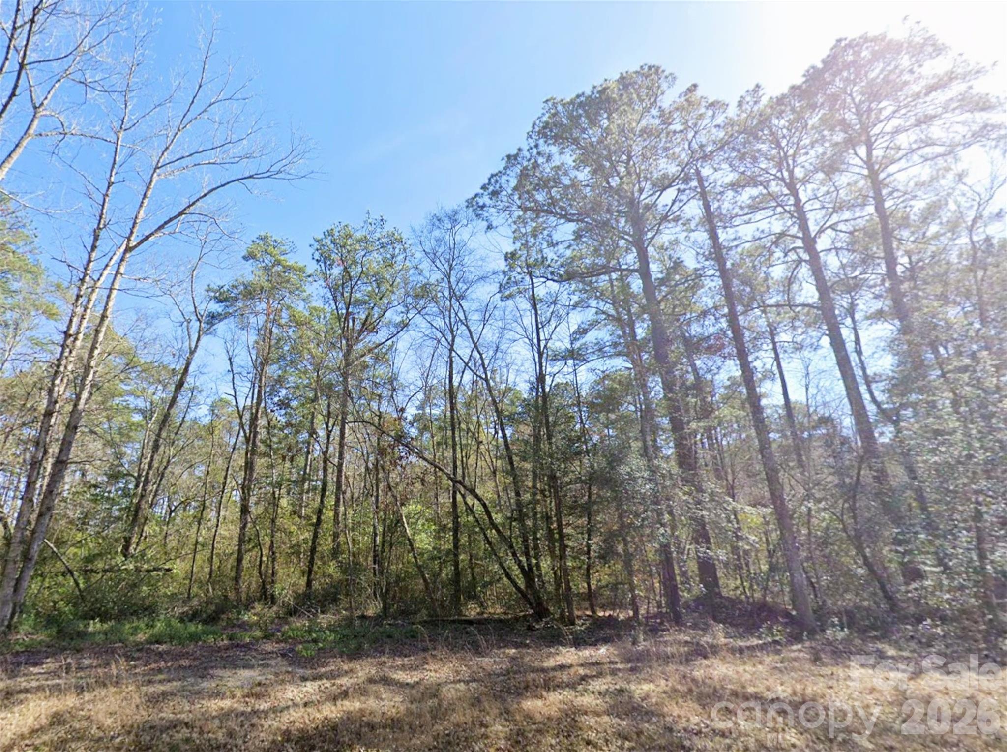 00 Mattocks Road Maysville NC 28555