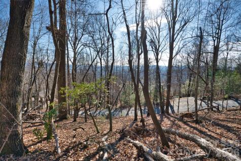 9999 Walnut Drive Mills River NC 28759