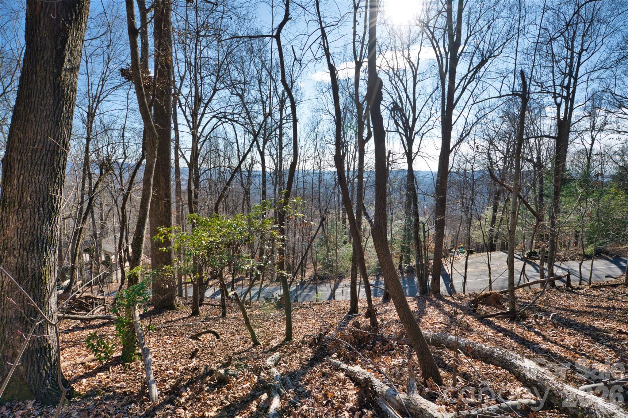9999 Walnut Drive Mills River NC 28759