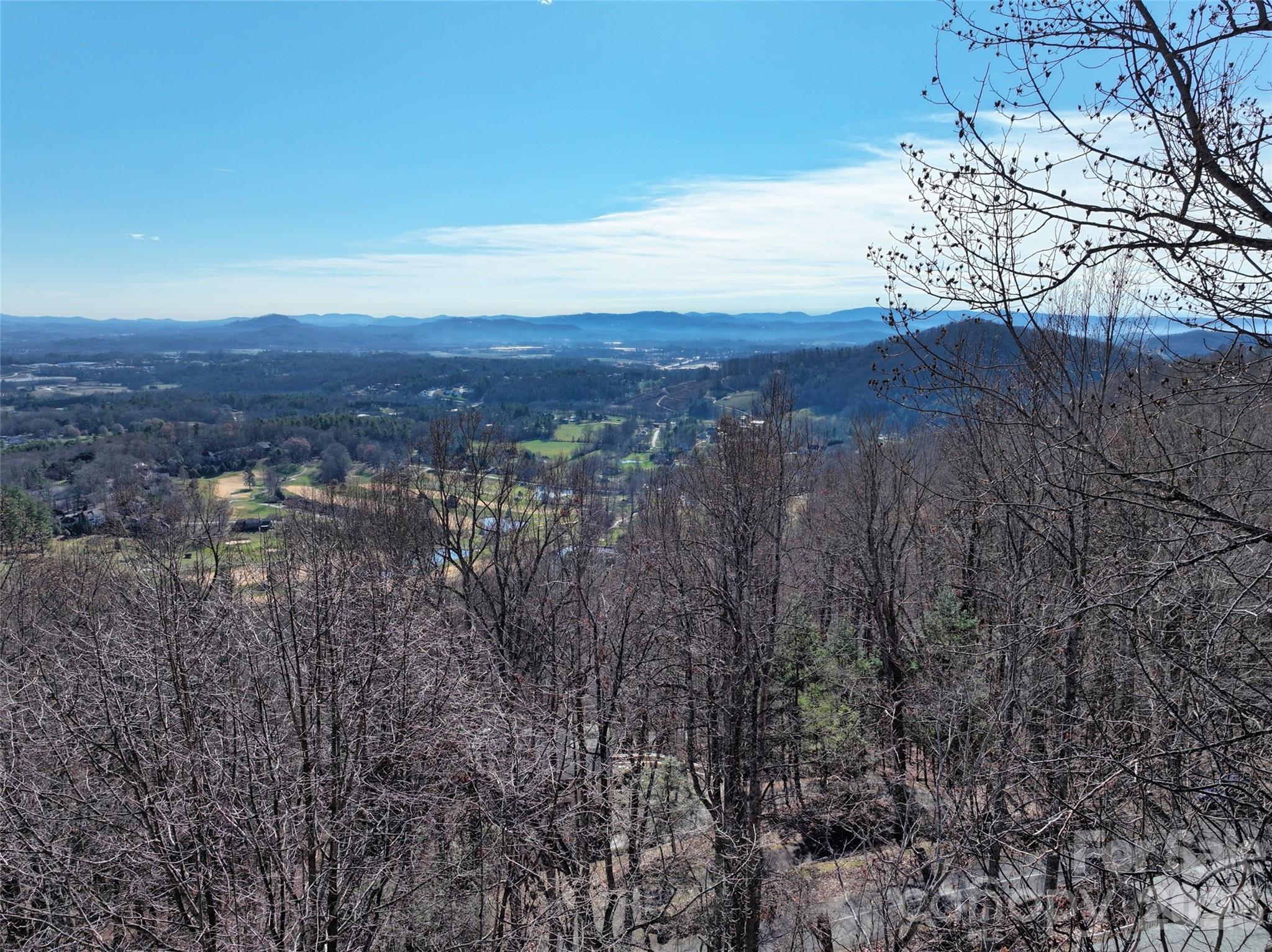 9999 Walnut Drive Mills River NC 28759