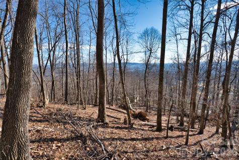 9999 Walnut Drive Mills River NC 28759