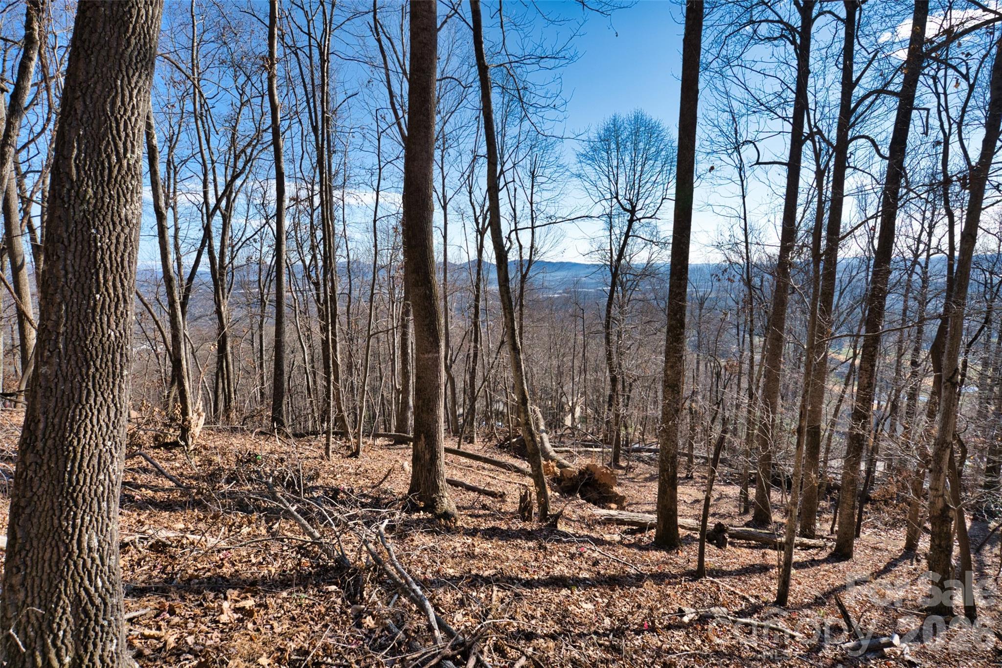 9999 Walnut Drive Mills River NC 28759