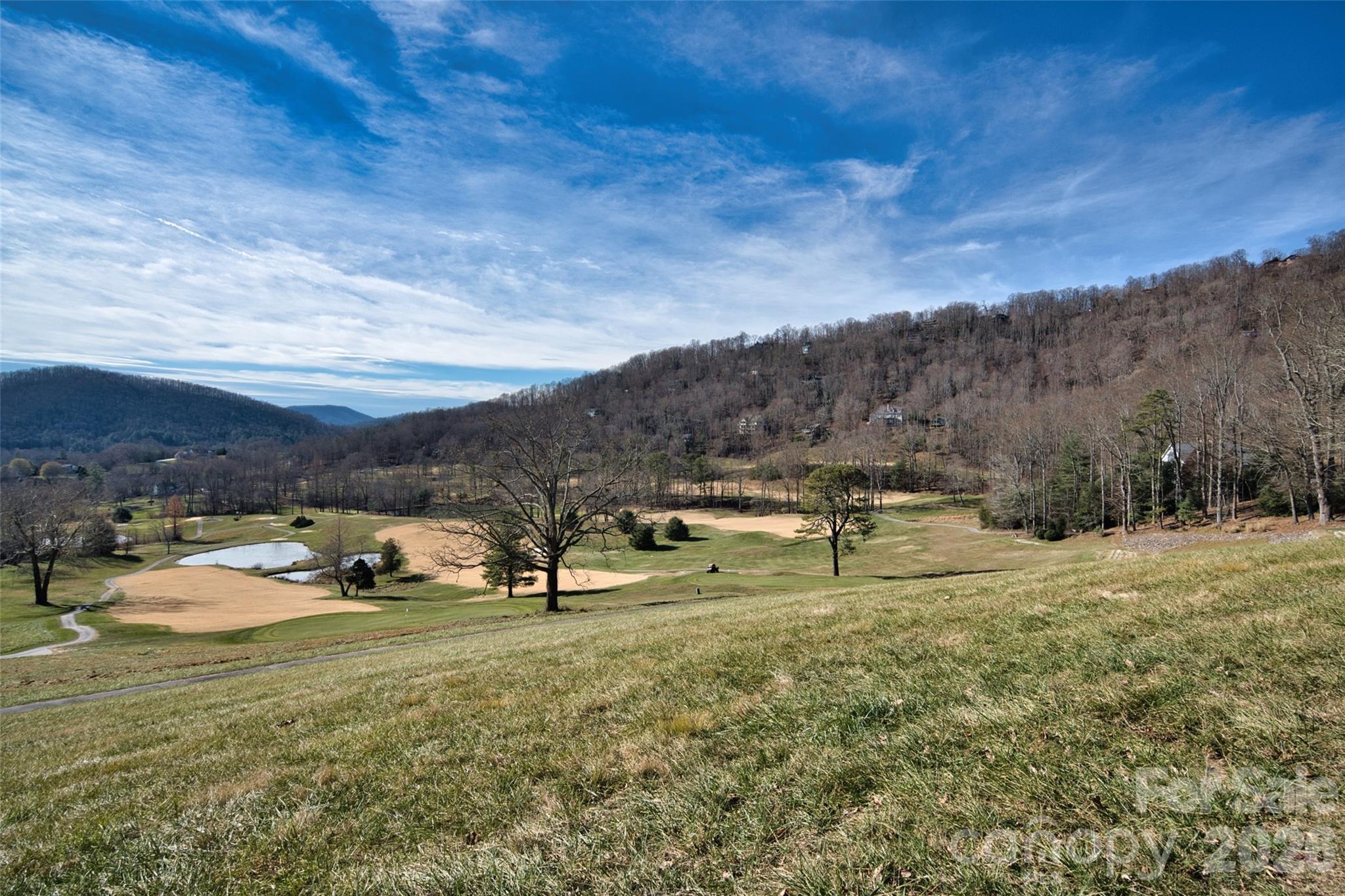 9999 Walnut Drive Mills River NC 28759