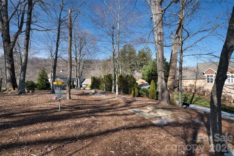 9999 Walnut Drive Mills River NC 28759