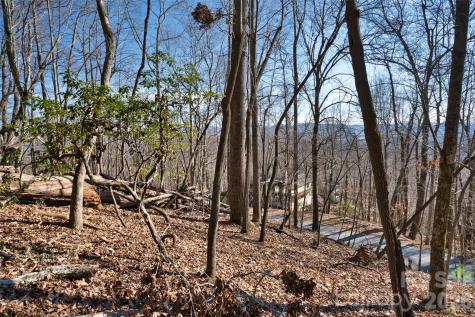 9999 Walnut Drive Mills River NC 28759