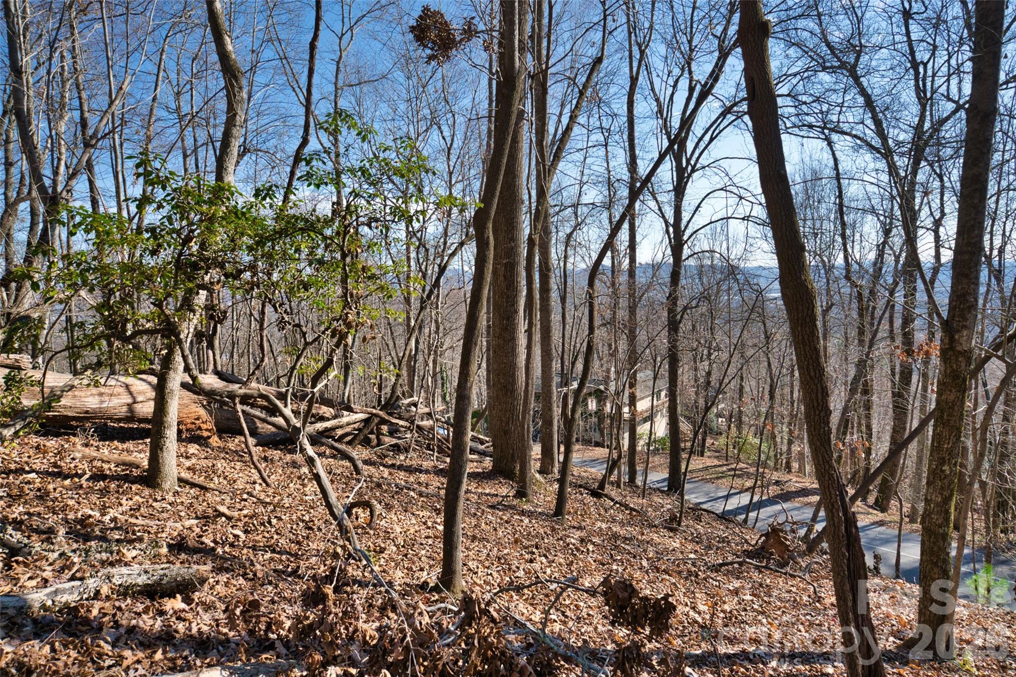 9999 Walnut Drive Mills River NC 28759
