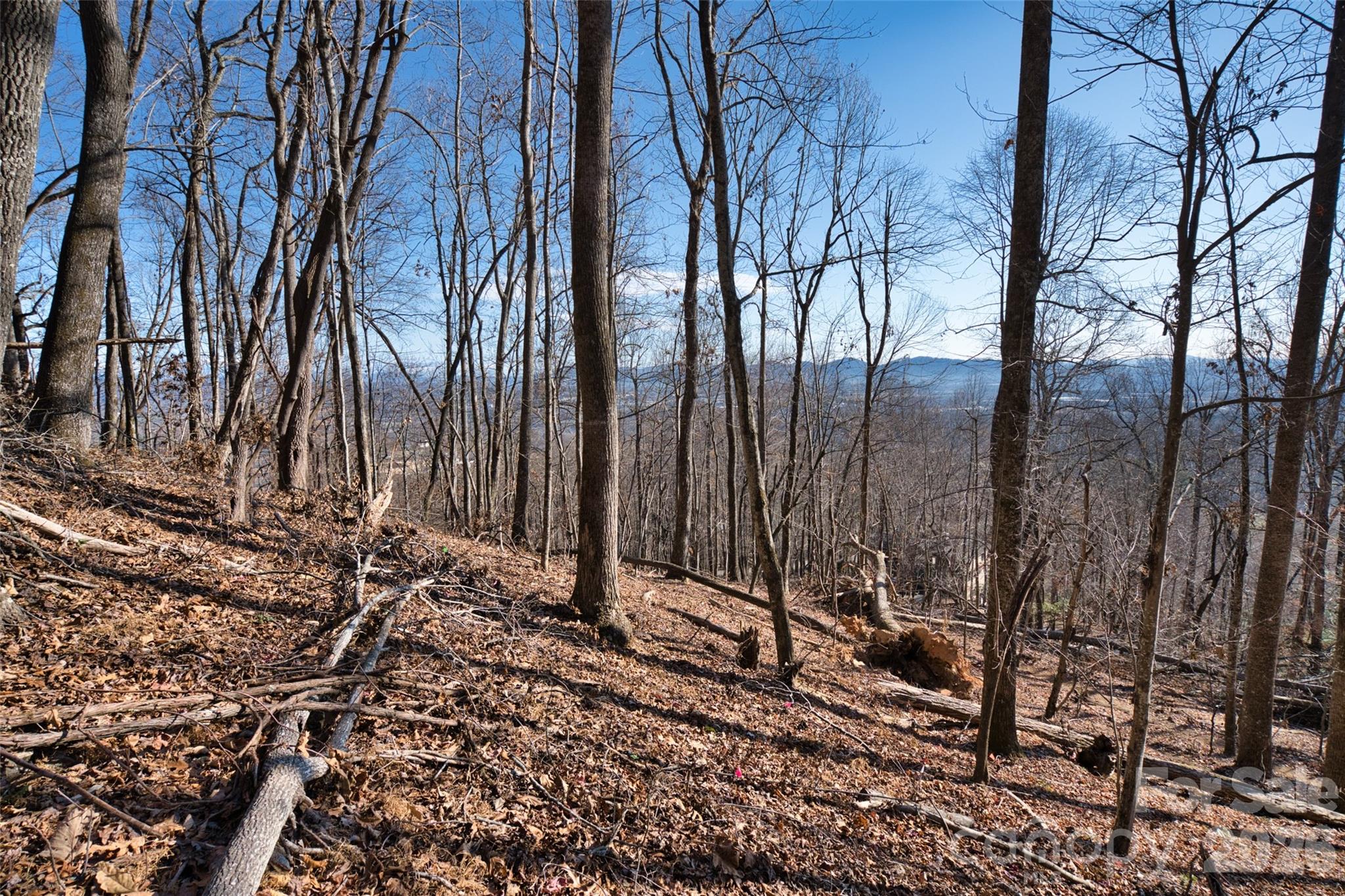 9999 Walnut Drive Mills River NC 28759