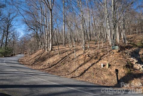 9999 Walnut Drive Mills River NC 28759
