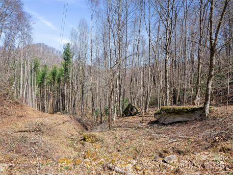 0 Nc Highway 226 Bakersville NC 28705