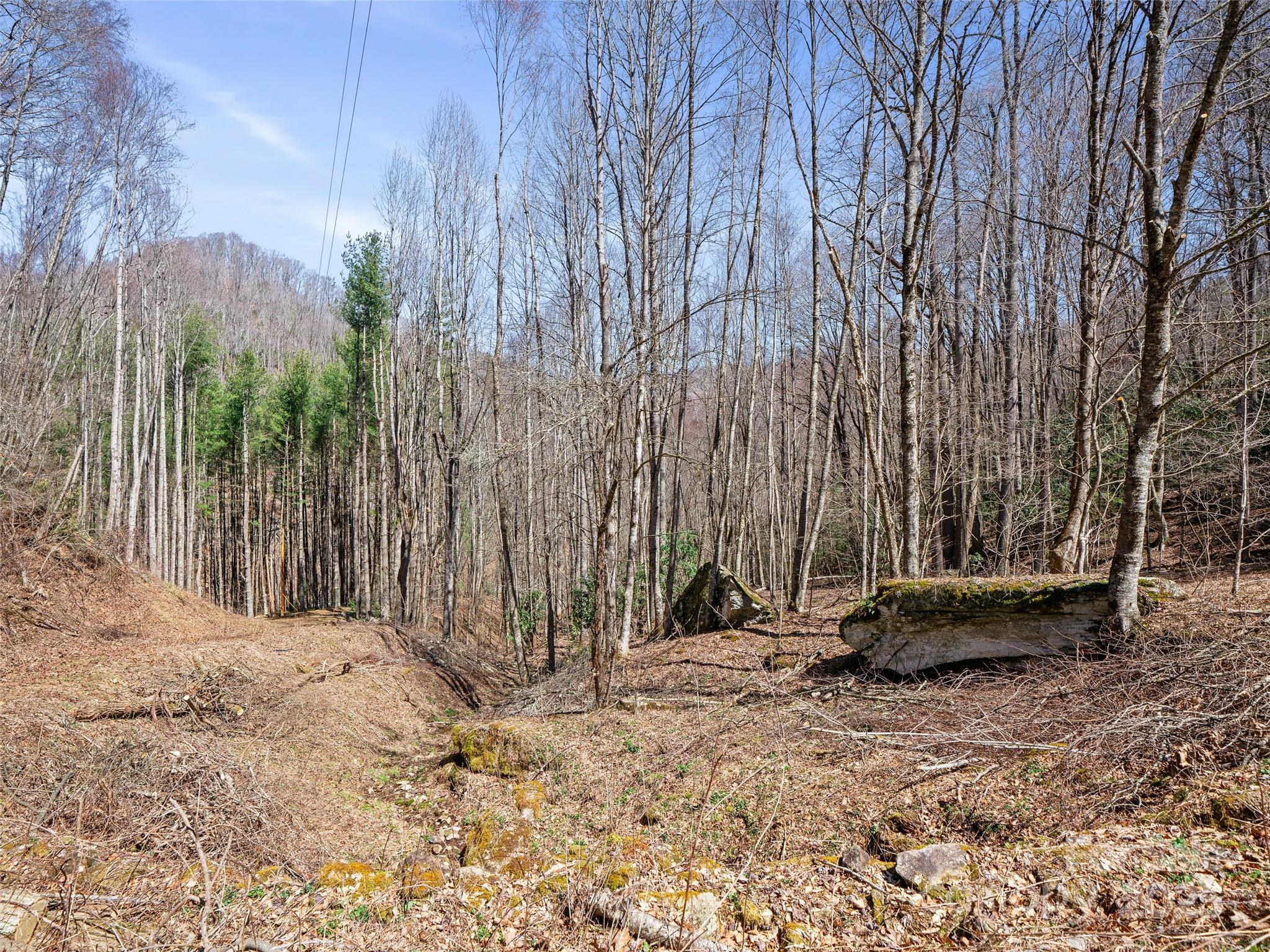 0 Nc Highway 226 Bakersville NC 28705