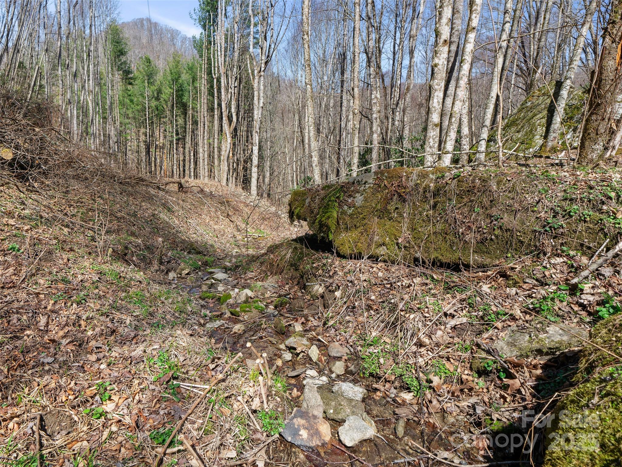 0 Nc Highway 226 Bakersville NC 28705
