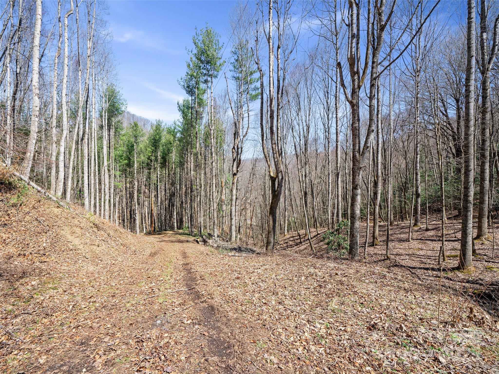 0 Nc Highway 226 Bakersville NC 28705